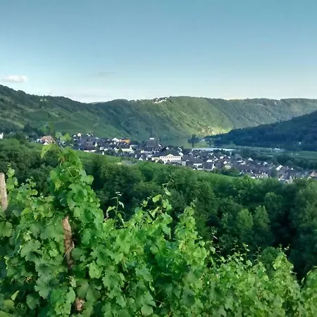 Weingut Sauer-kettermann *