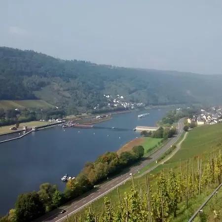Weingut Sauer-kettermann