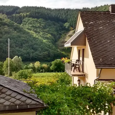 Weingut Sauer-kettermann Ferienhaus