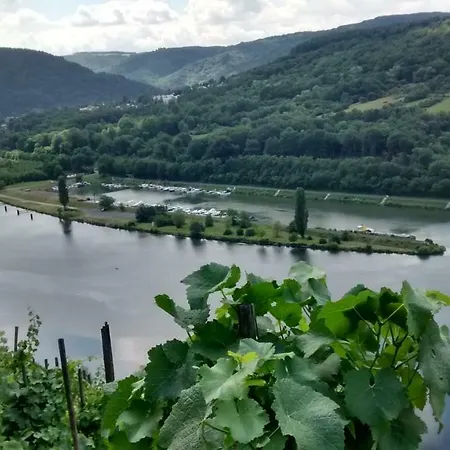 Weingut Sauer-kettermann Feriehus *