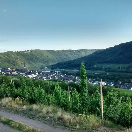 Weingut Sauer-kettermann Holiday home *