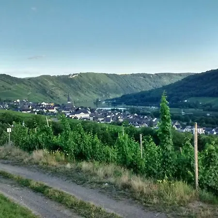 Weingut Sauer-kettermann