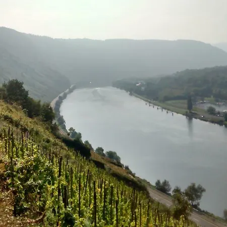 Weingut Sauer-kettermann