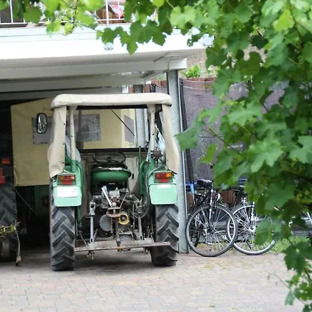 Weingut Sauer-kettermann Feriehus *