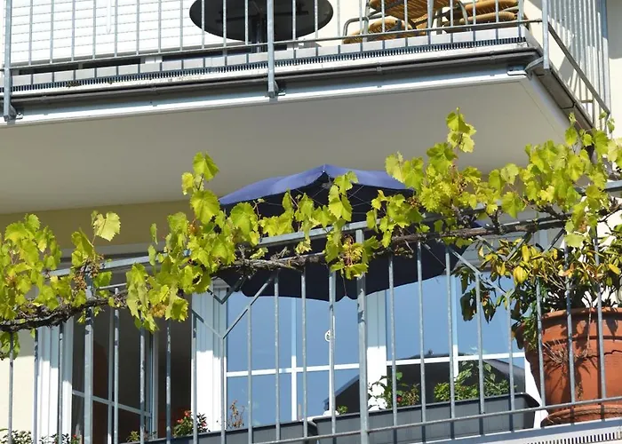 Weingut Sauer-kettermann Casa de Férias Enkirch