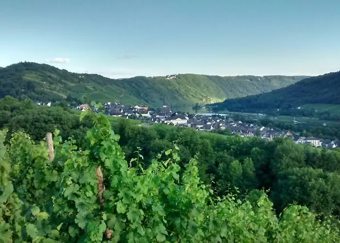 Weingut Sauer-kettermann *