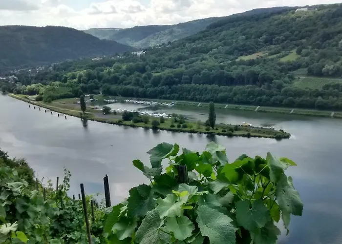 Weingut Sauer-kettermann Casa de Férias *