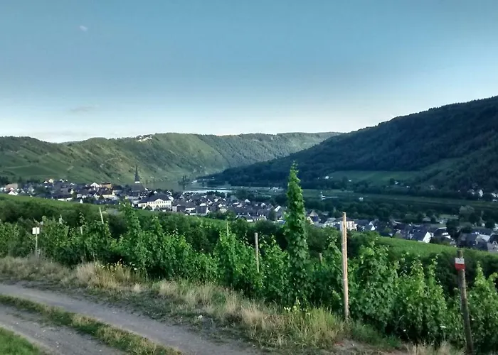 Weingut Sauer-kettermann Casa de Férias *