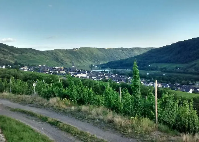 Weingut Sauer-kettermann
