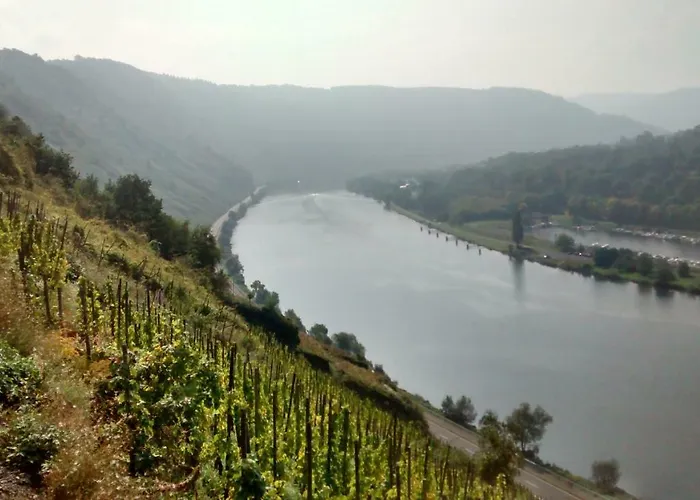 Weingut Sauer-kettermann