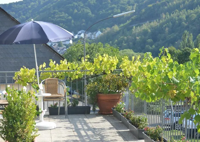 Weingut Sauer-kettermann Enkirch