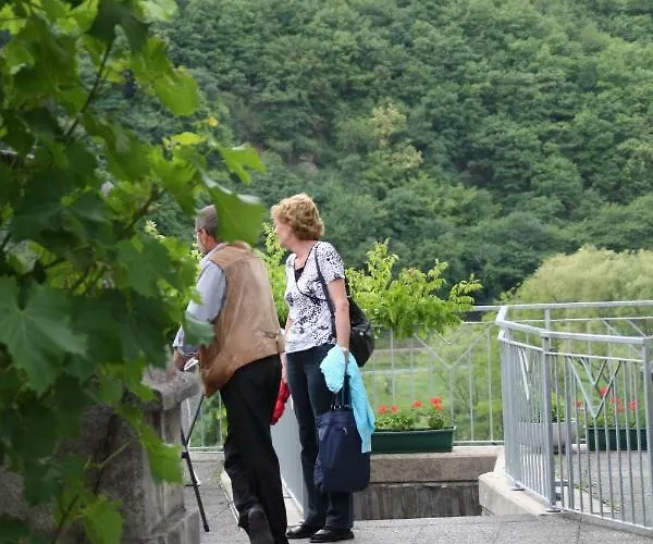 Weingut Sauer-kettermann